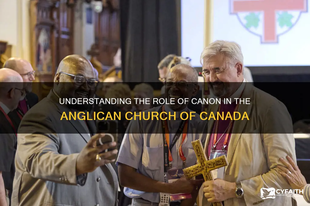what is a canon in the anglican church of canada