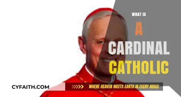 Understanding the Role and Significance of a Cardinal in Catholicism