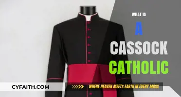 Understanding the Catholic Cassock: Tradition, Purpose, and Modern Usage