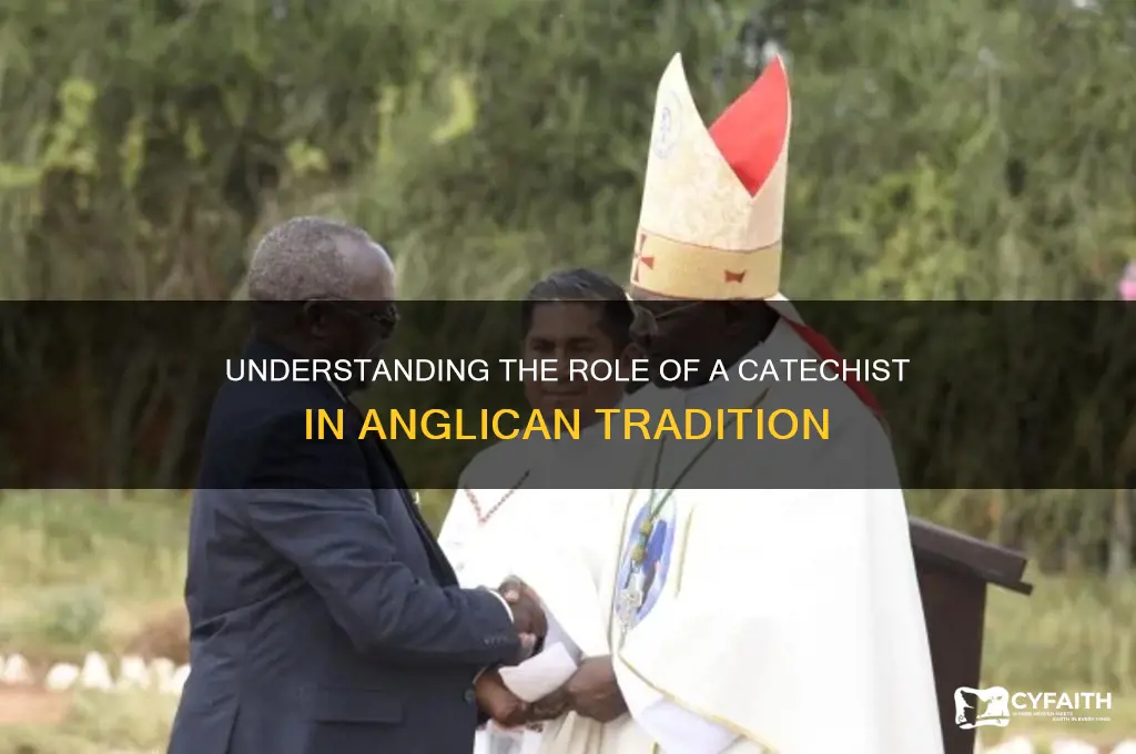 what is a catechist in the anglican church