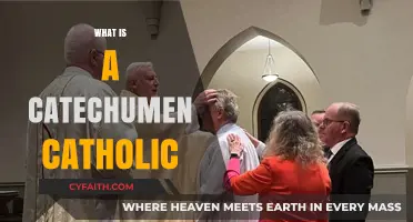 Understanding the Catechumen's Journey in the Catholic Faith