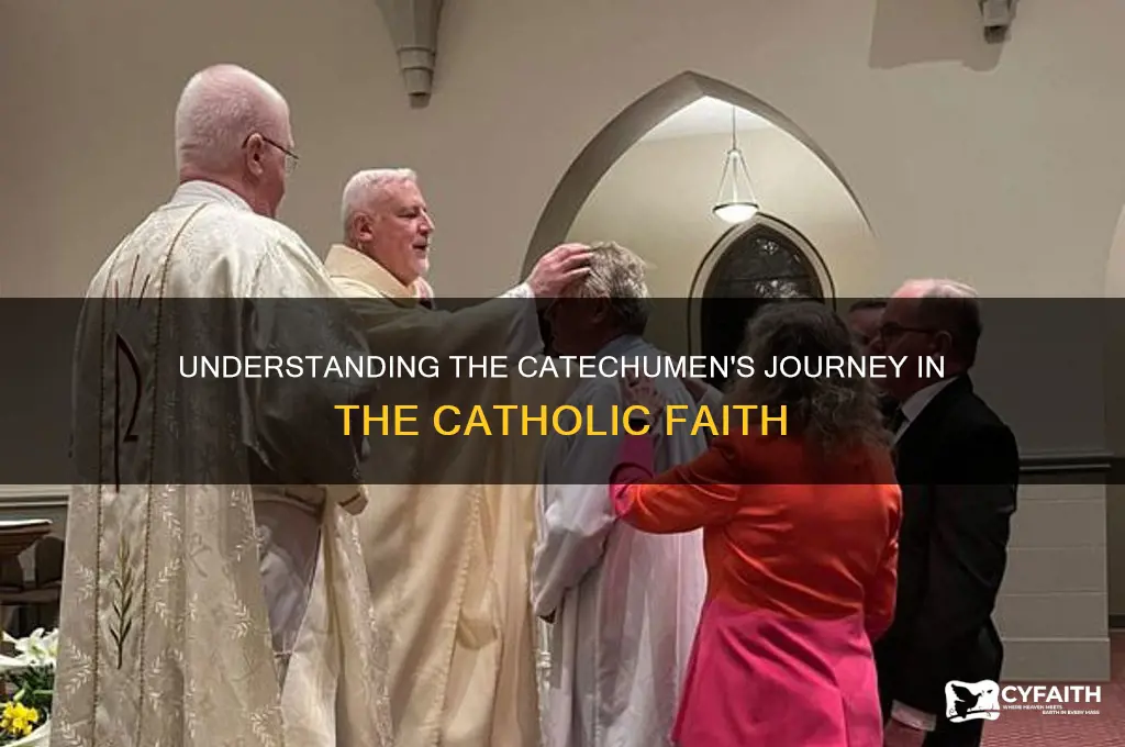 what is a catechumen catholic
