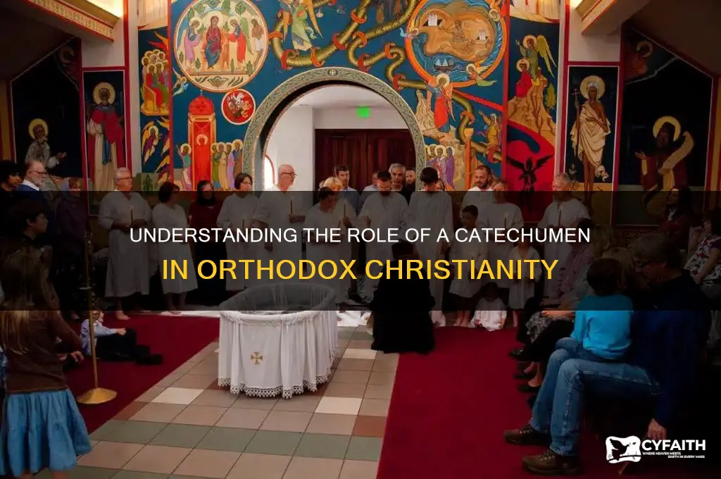 what is a catechumen in the orthodox church
