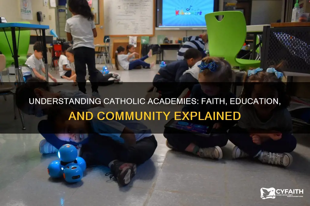 what is a catholic academy