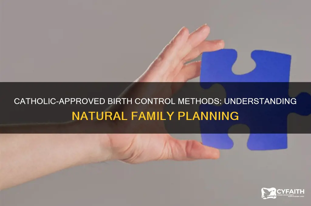 what is a catholic acceptable birth control