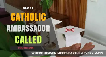 Understanding the Role of a Catholic Ambassador: Title and Responsibilities