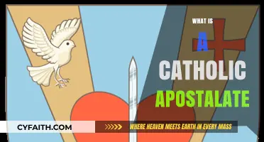 Understanding Catholic Apostolates: Mission, Purpose, and Role in Faith