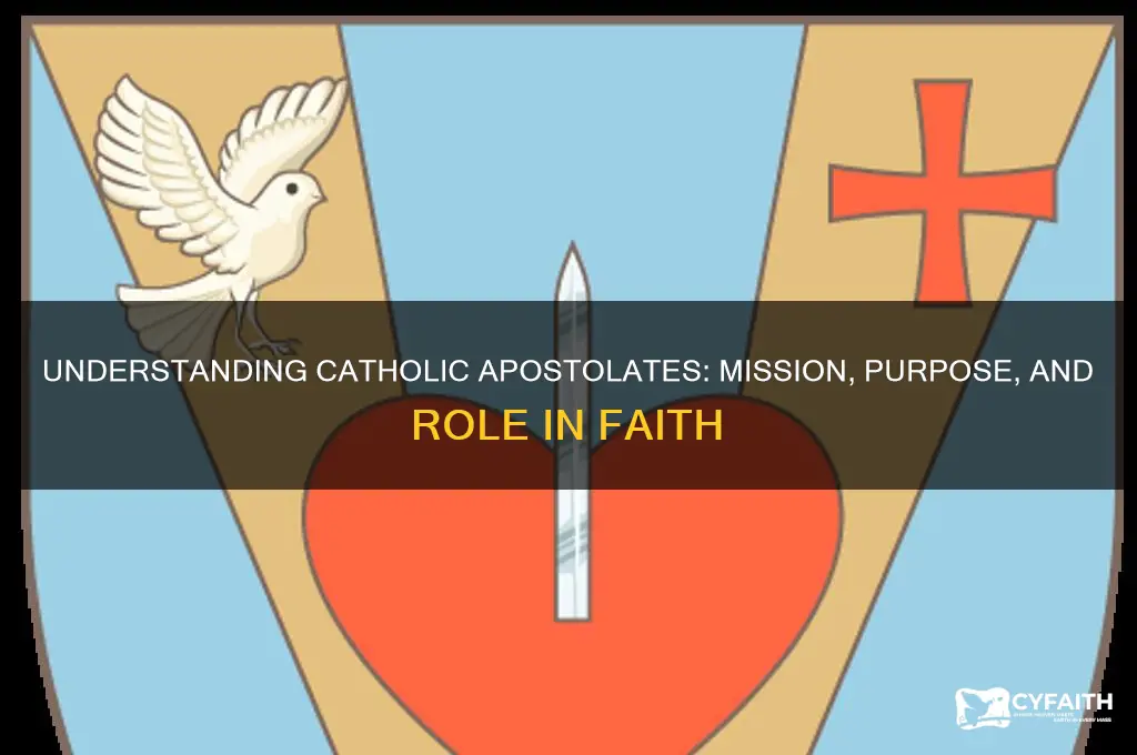 what is a catholic apostalate