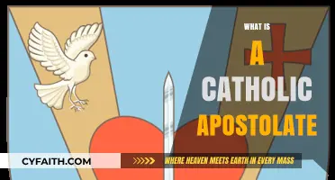 Understanding the Catholic Apostolate: Mission, Purpose, and Role in Faith