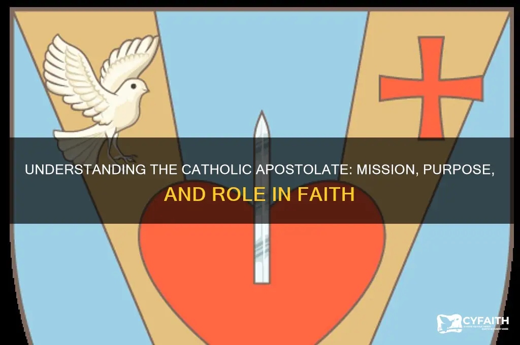 what is a catholic apostolate