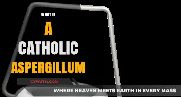 Understanding the Catholic Aspergillum: Its Purpose and Significance in Liturgy