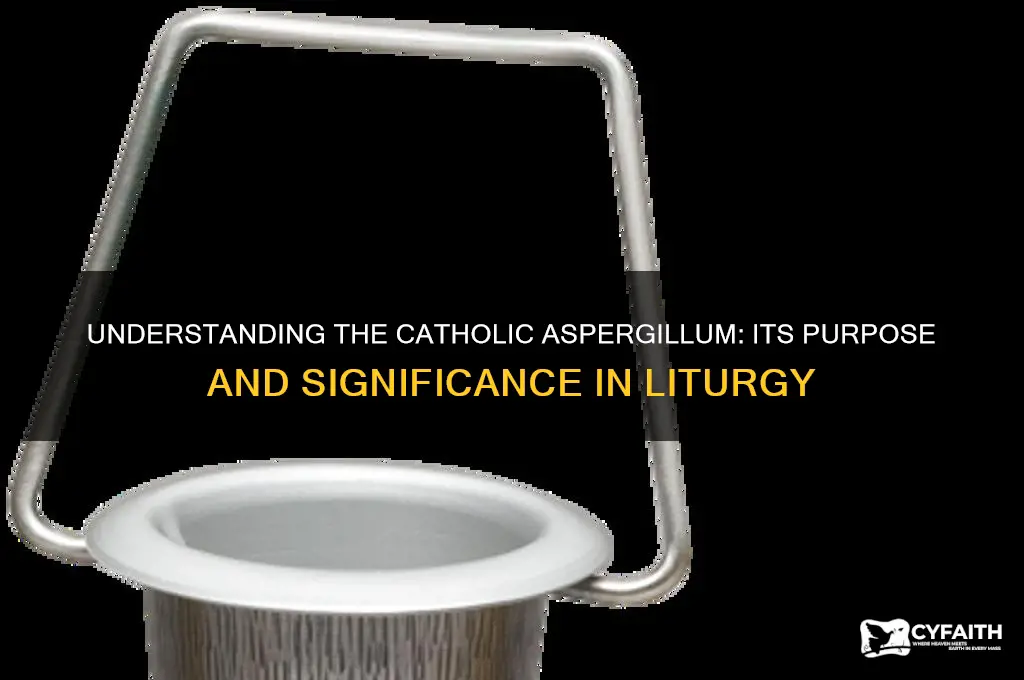 what is a catholic aspergillum