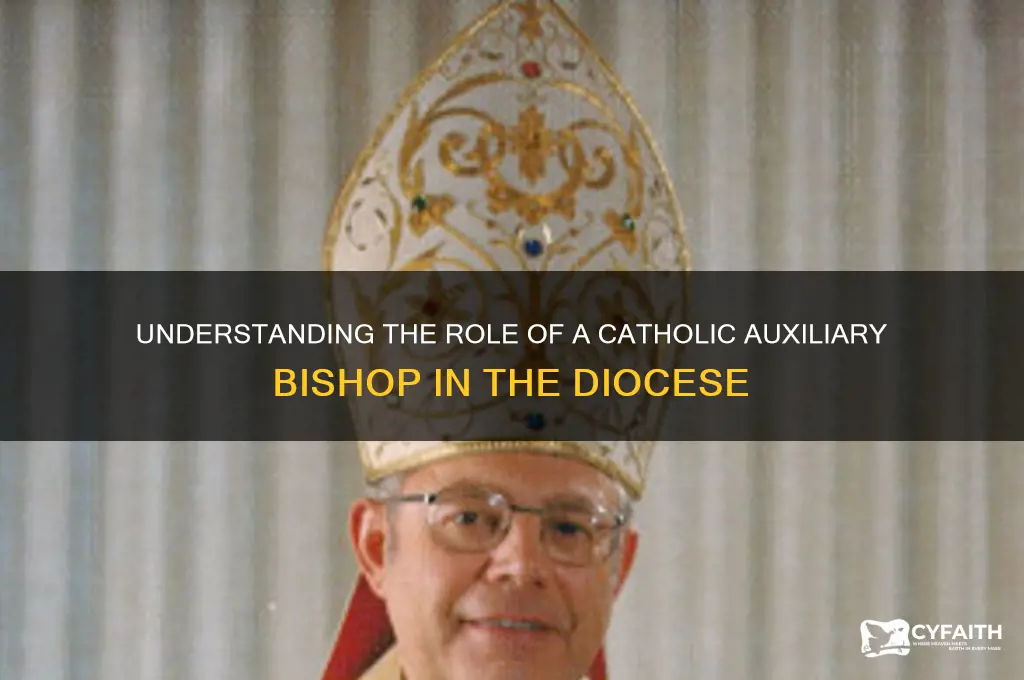 what is a catholic auxilary bishop