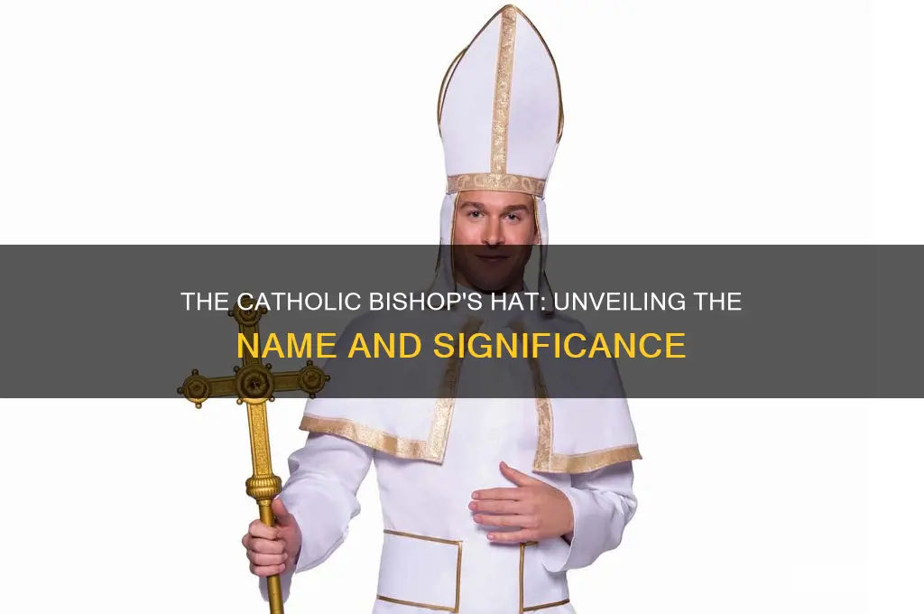 what is a catholic bishop