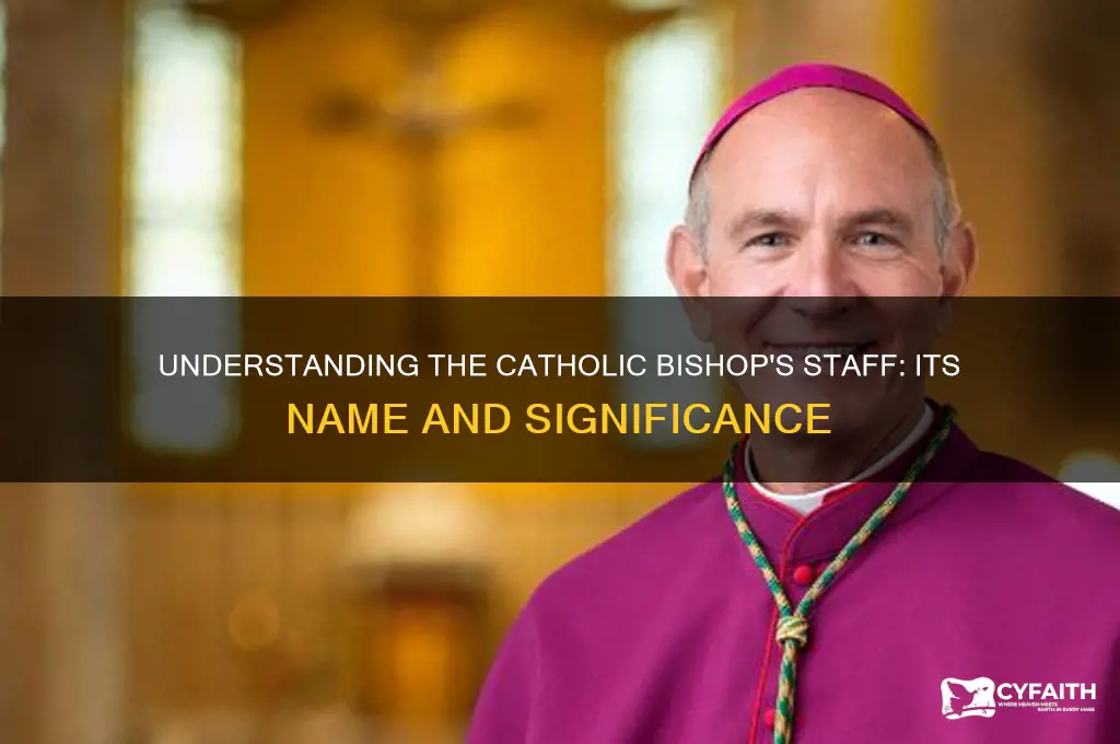 what is a catholic bishop