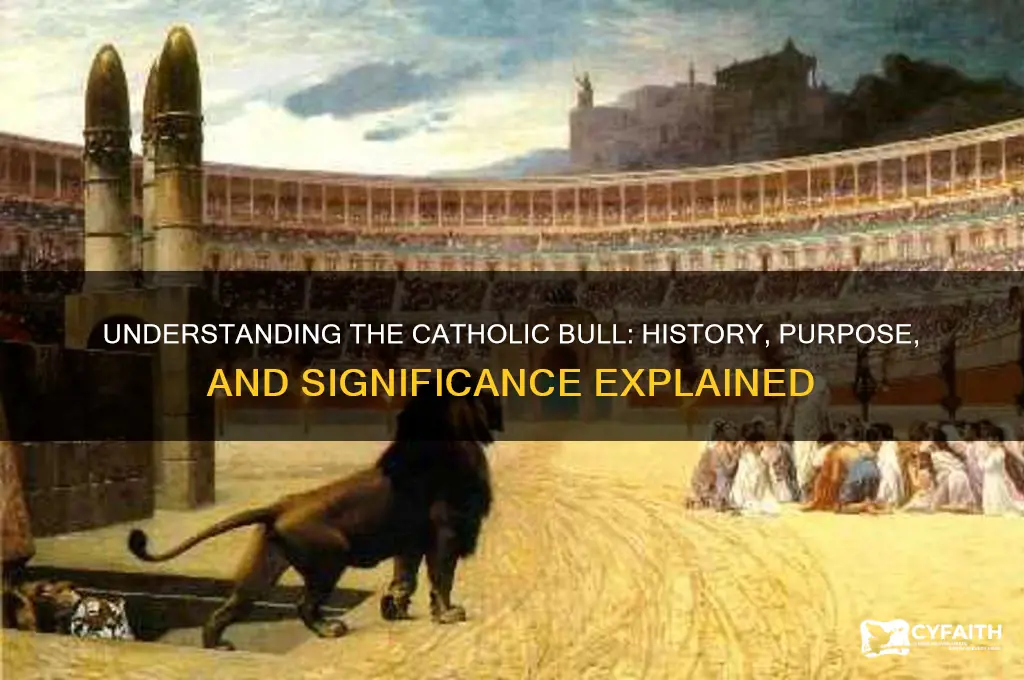 what is a catholic bull