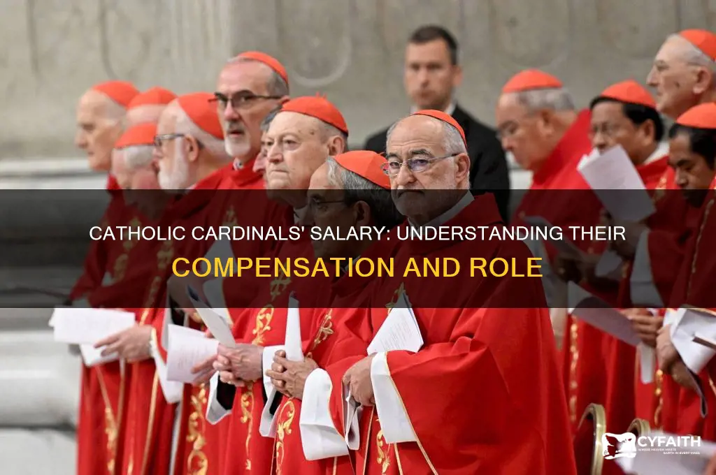 what is a catholic cardinals salary