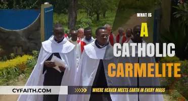 Understanding the Catholic Carmelite Order: History, Spirituality, and Vocation
