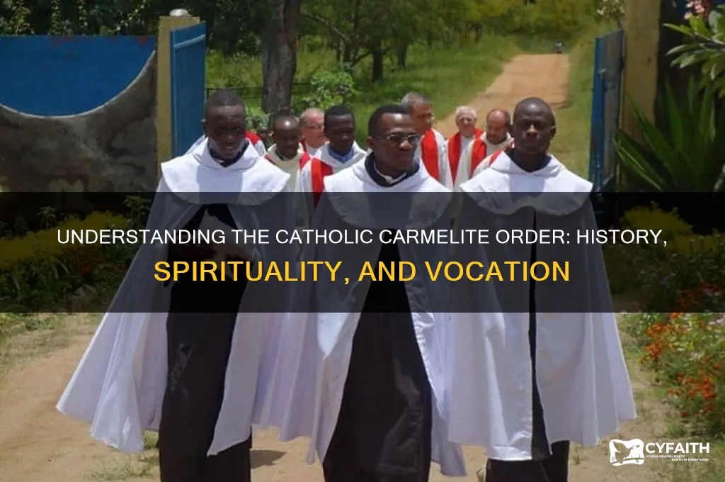 what is a catholic carmelite