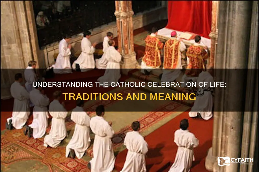 what is a catholic celebration of life