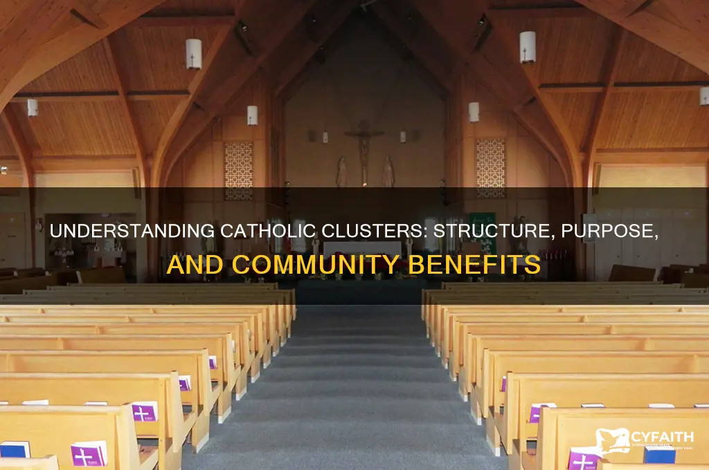 what is a catholic cluster