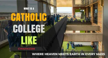 Exploring Faith, Academics, and Community in Catholic College Life