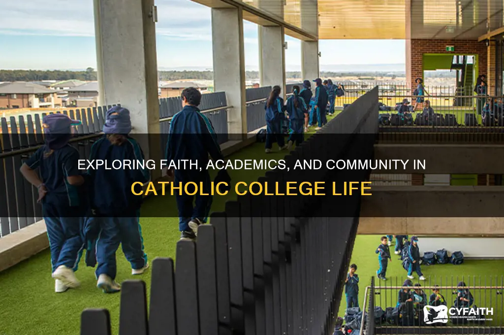 what is a catholic college like