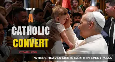 Understanding the Journey of Becoming a Catholic Convert