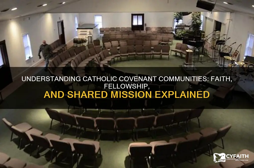 what is a catholic covenant community
