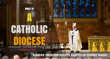 Understanding the Role and Structure of a Catholic Diocese