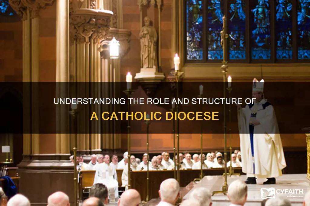 what is a catholic diocese