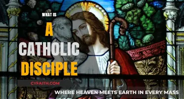 Understanding the Call: What It Means to Be a Catholic Disciple