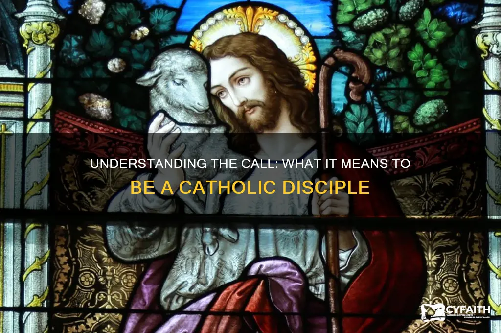 what is a catholic disciple