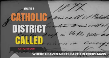 Understanding Catholic Districts: What Are They Called and Their Role