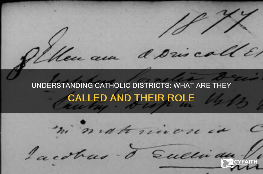 what is a catholic district called