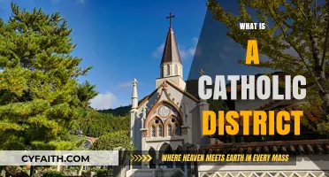 Understanding Catholic Districts: Structure, Role, and Community Significance