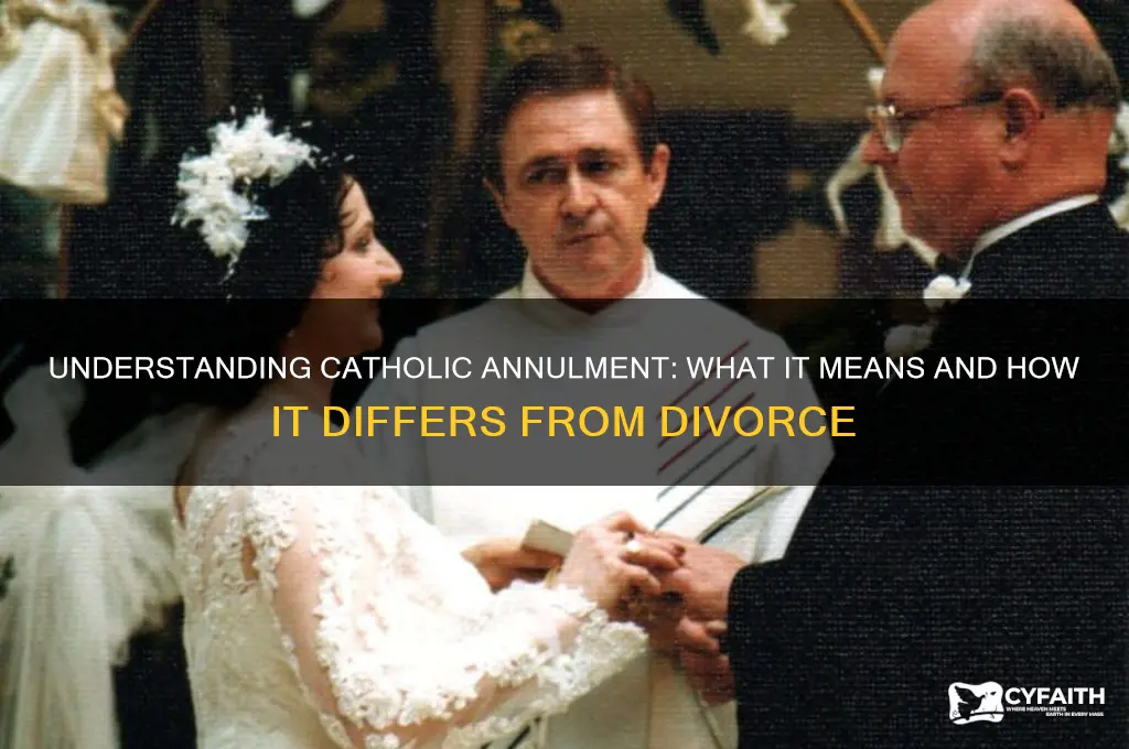 what is a catholic divorce called