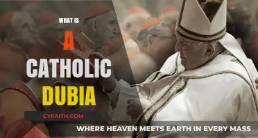 Understanding Catholic Dubia: Clarifying Doctrinal Doubts in the Church