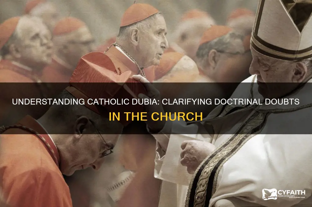 what is a catholic dubia