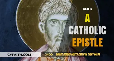 Understanding the Catholic Epistles: Purpose, Authors, and Significance