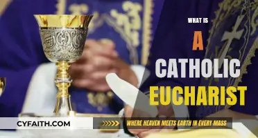 Understanding the Catholic Eucharist: Meaning, Ritual, and Significance Explained