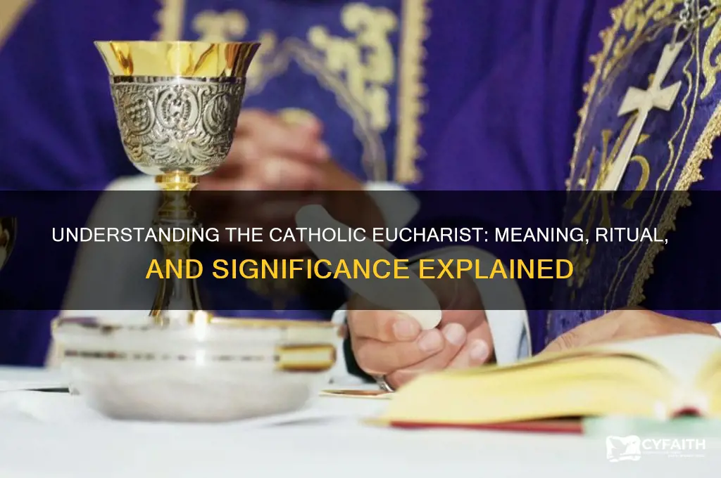 what is a catholic eucharist