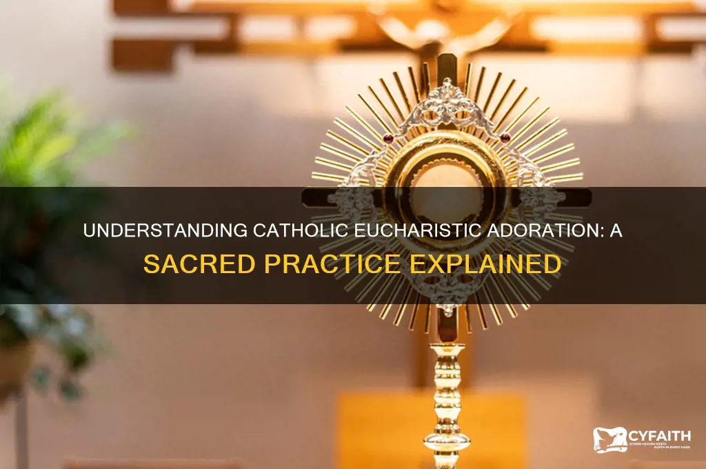 what is a catholic euchoristic adoration