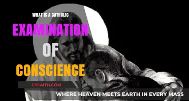 Understanding the Catholic Examination of Conscience: A Spiritual Self-Reflection Guide