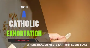 Understanding Catholic Exhortations: Purpose, Types, and Significance Explained
