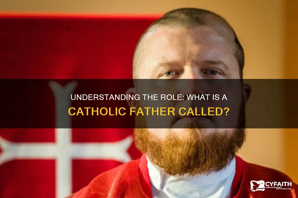 what is a catholic father called