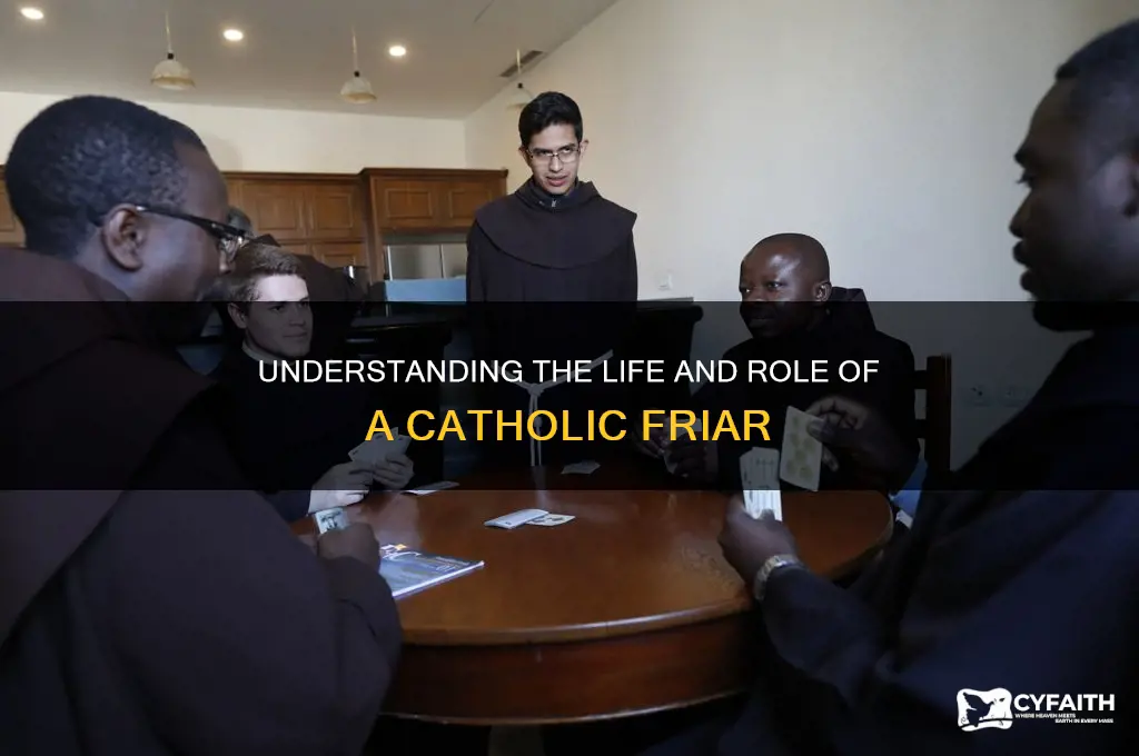 what is a catholic friar