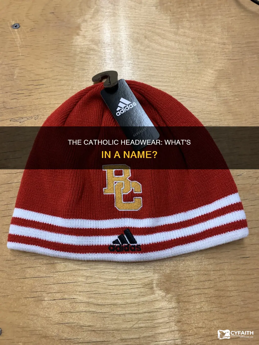 what is a catholic head covering called