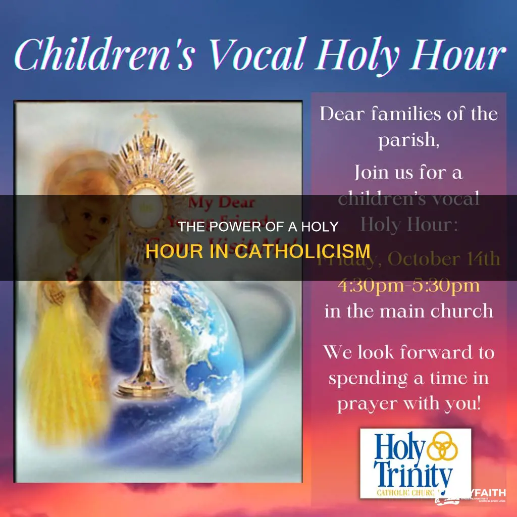 what is a catholic holy hour