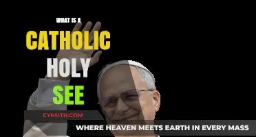 Understanding the Catholic Holy See: Role, History, and Significance